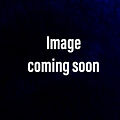 Image coming soon.JPEG
