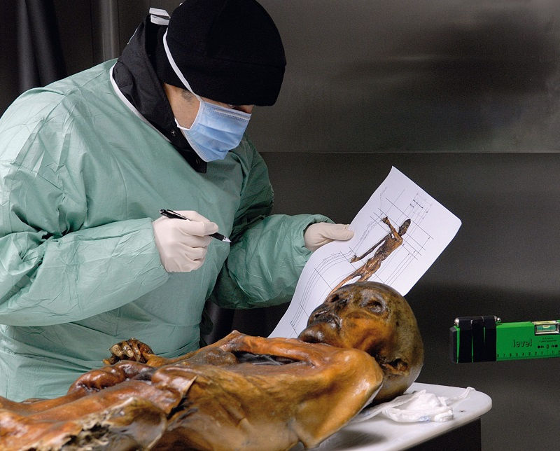 Ötzi the Iceman's body was discovered 30 years ago with Birch Polypore fragments