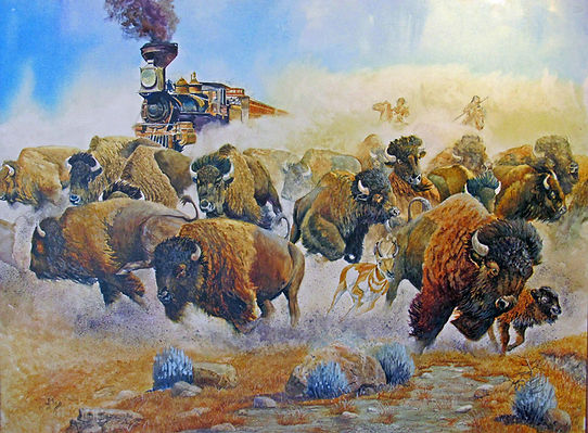 Fight For Their Lands - Fight For The B