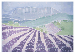 la montagne d'Angèle