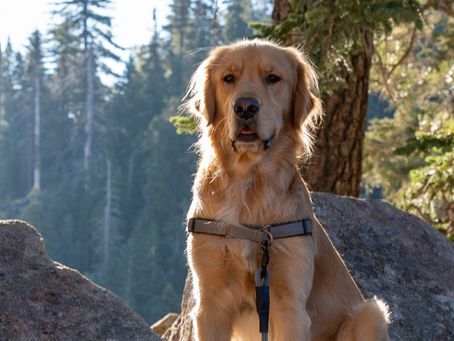 Big Bear Lake, California