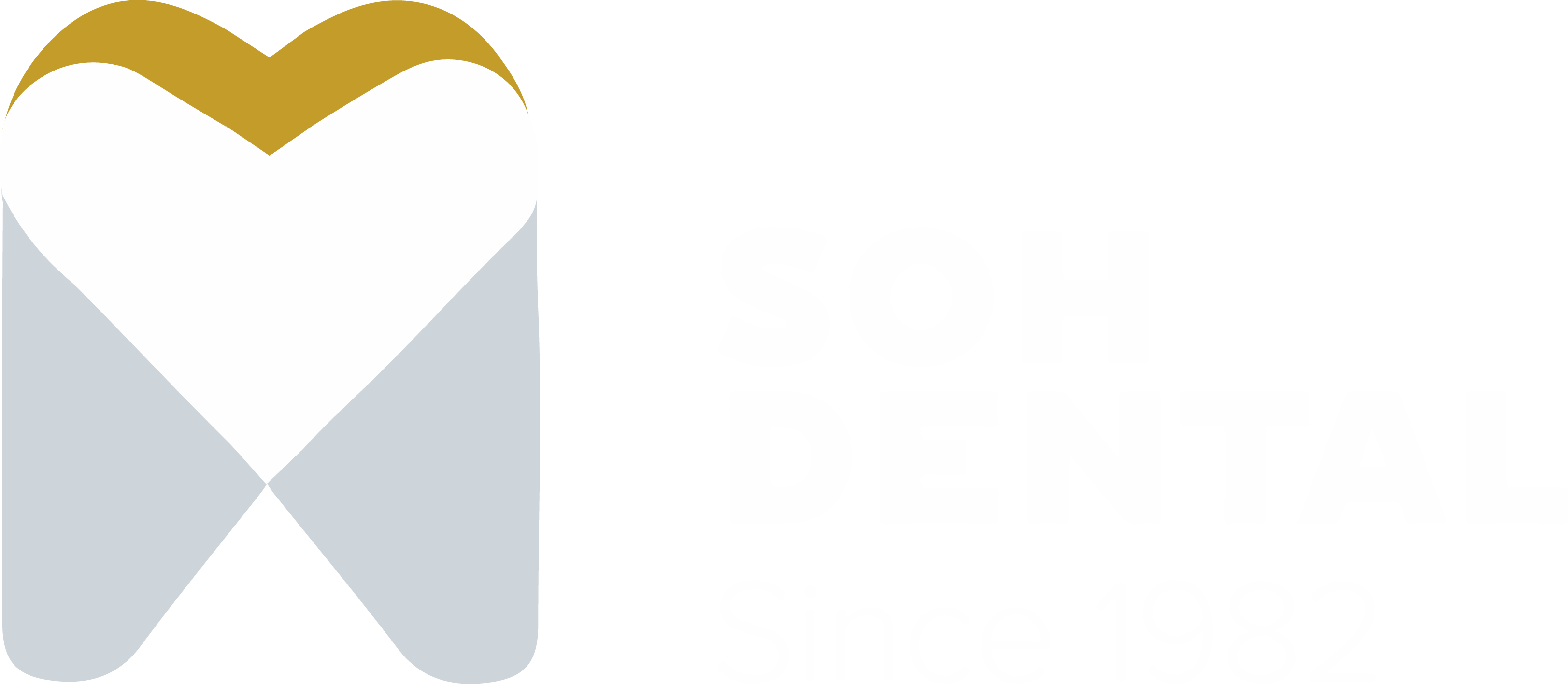 Soh Dental Logo