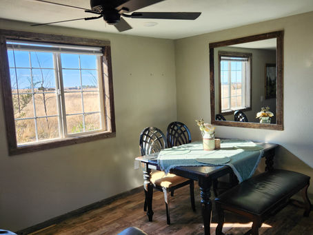Why Regular Window Cleaning is Essential