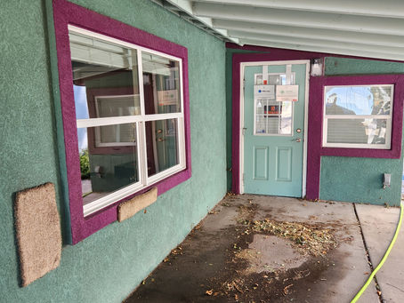 Benefits of Professional Window Cleaning for Businesses
