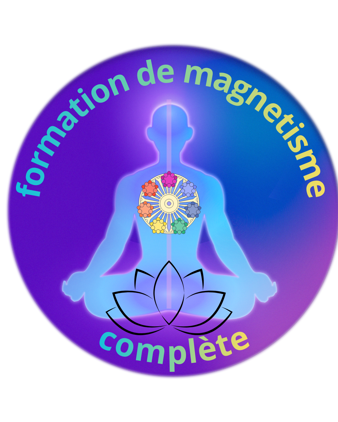 formation complète individuel Magnetisme (4 visio+ support PDF)