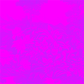 pattern-fd-web-magenta.gif