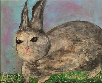 Rabbit