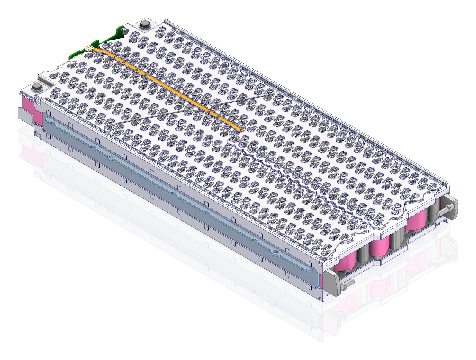 The module.