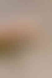 derbyshire, food life, derby, bakewell, bakery, chef, bakers, bread, cafe, photos, photography, near me, food, content creator, creative, good, interactive, social media, branding, marketing