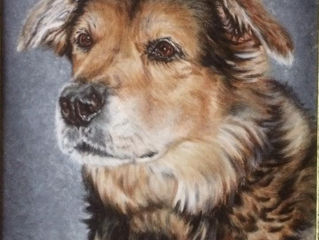 Dusty - Acrylic Painting