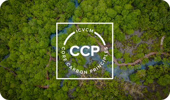 New Quality Benchmark: What the CCP Label Means for the VCM