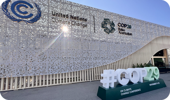 Die zwei Lichtblicke der COP 29: Entscheidungen zur Klimafinanzierung und den Regeln für den CO2-Handel