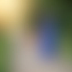 A lady trailing with her dog out in front of her