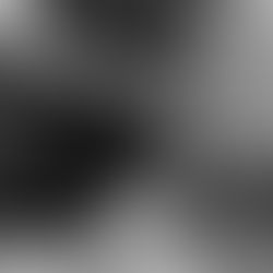 A dog's nose with a foggy scent representation near it