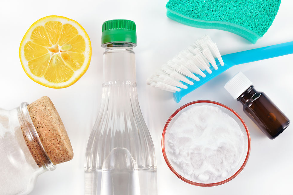 How about Eco-friendly cleaning options?