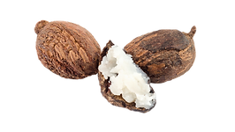 Select A theme (54).png