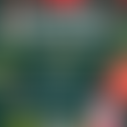 🎄未就学児向け クリスマス会🎅