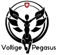 Pegasus.png