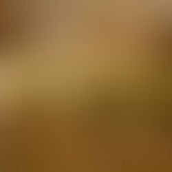 Called To God's Greater Purpose