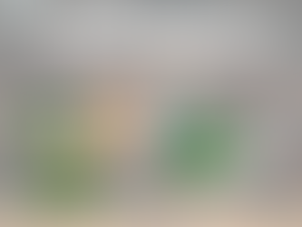 International Quota 2024