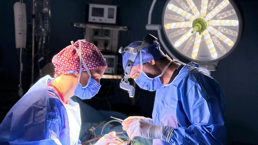 Egypt Cosmetic Surgery Costs Compared: Save Now