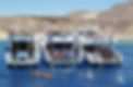 Tours Offers in Egypt, Tours Packages of Egypt, Guide of Egypt Tours