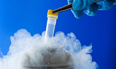 Oocyte-Sperm-Cryopreservation.jpg