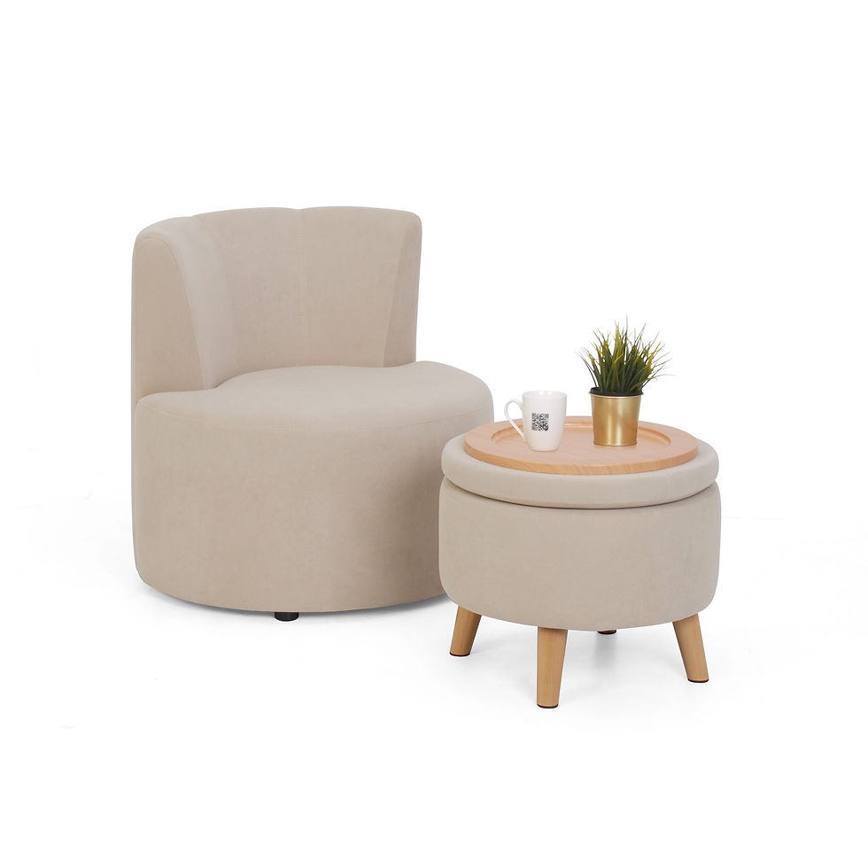 ภาพขนาดย่อ: CACTUS SET