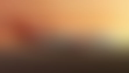 SpiceJet to connect Shillong and Delhi with exclusive non-stop flights