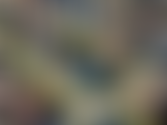 How to Know Which Suburb to Invest?