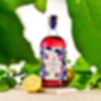Bouteille Liqueur de gin bio à la griotte - Grand Nez Spirits