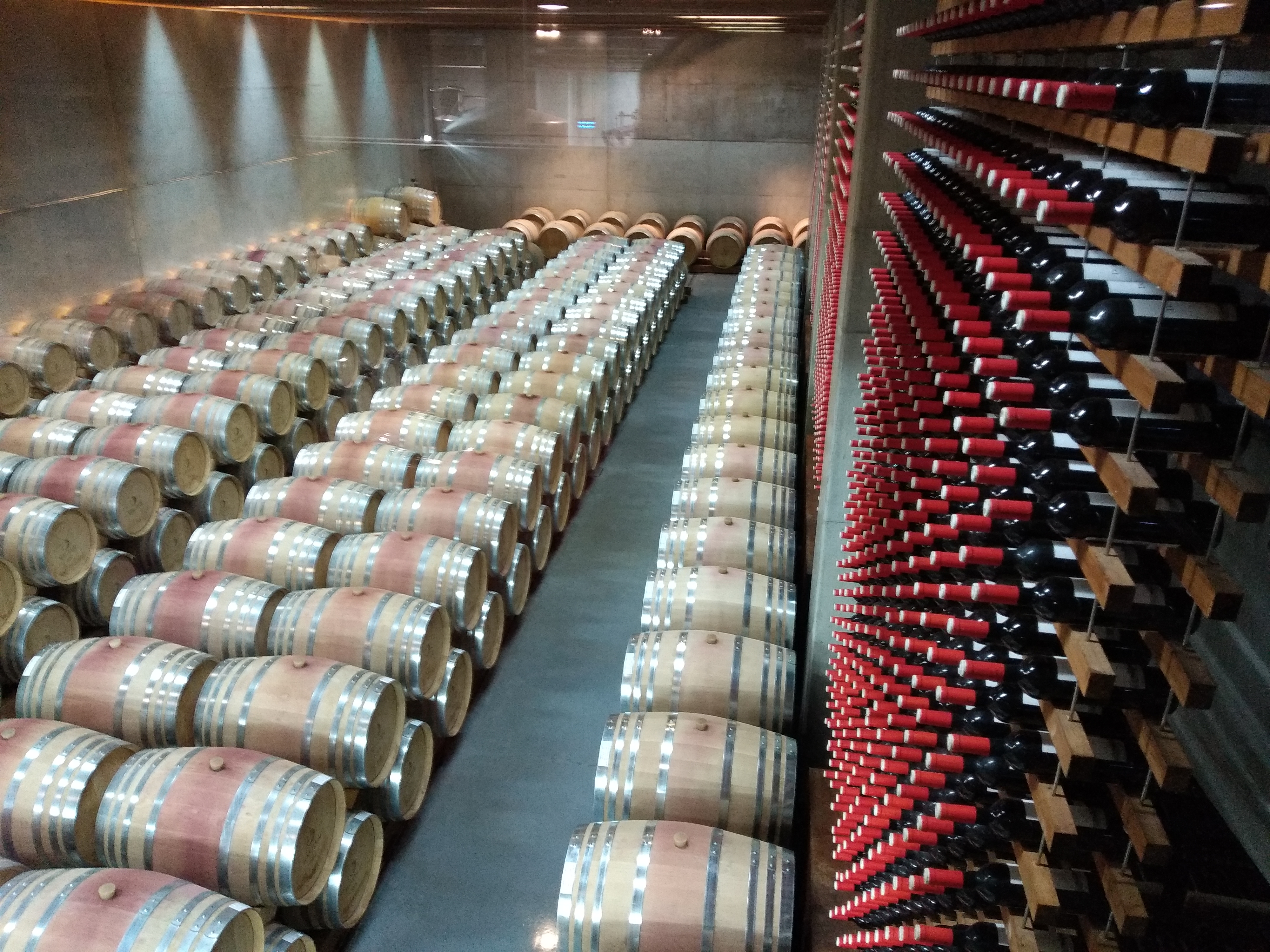 Private tours.Wine tour