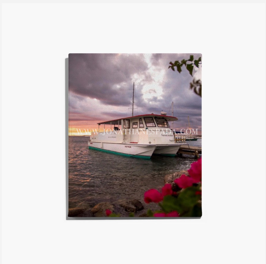 "Anchored" (Canvas or Photo Print)