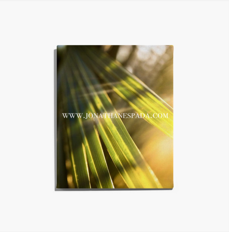 "Sun Kissed" (Canvas or Photo Print)
