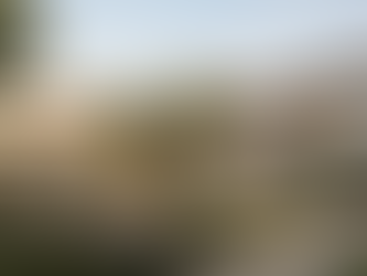 Ihre voll gemanagte Kapitalanlageimmobilie für eine sorgenfreie Zukunft