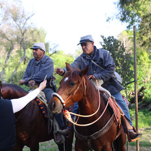 The Fields Are Burning