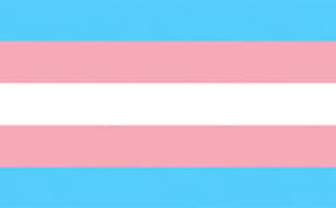 Blue pink and white transgender pride flag