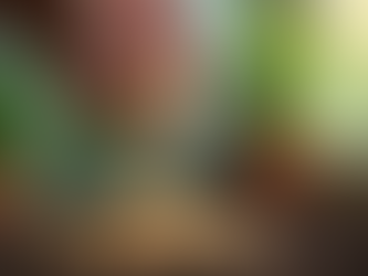 Choosing the Best Indoor Plant Fertilizers