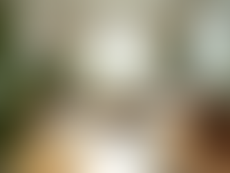 Transforming Your Home into a Green Oasis