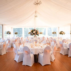 490589432_1233029225490622_7932152045368792500_n