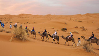 Le désert de Marrakech en une journée