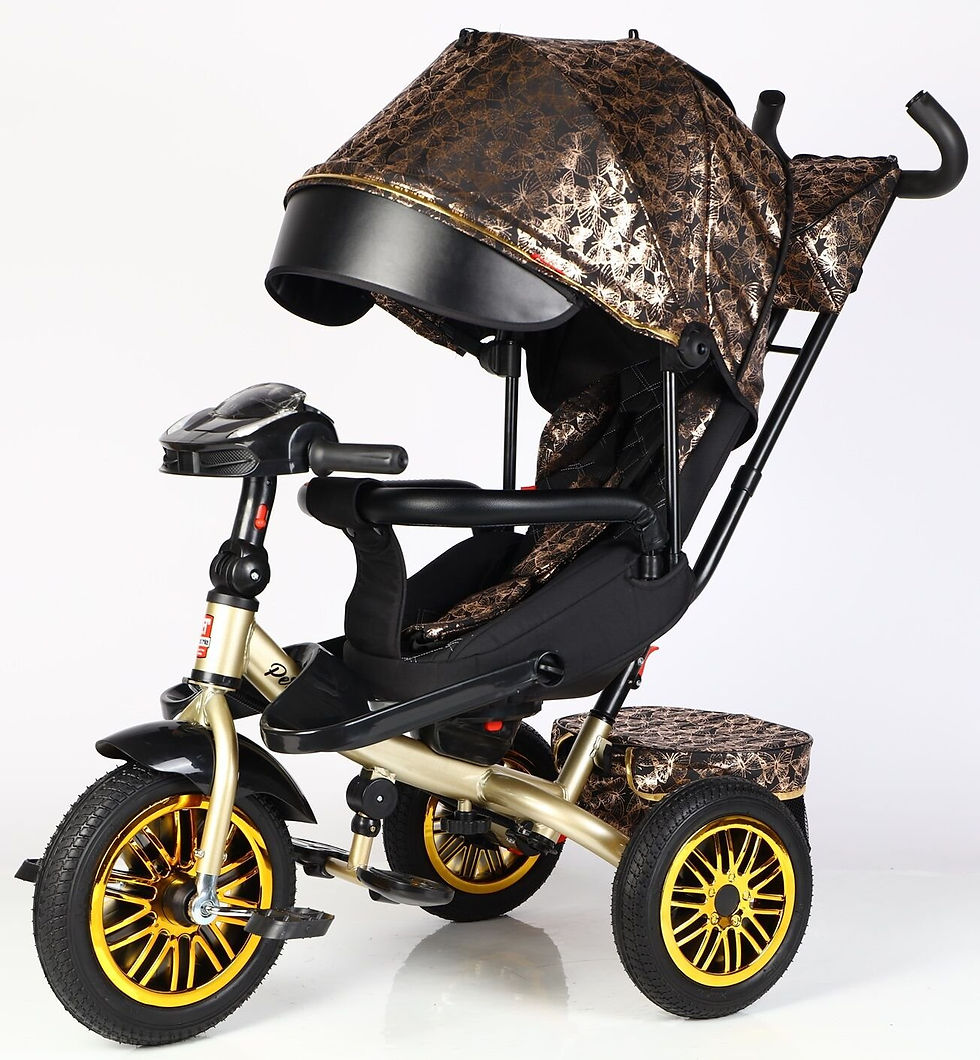 Прев'ю: BestTrike "Perfetto" 8066/515