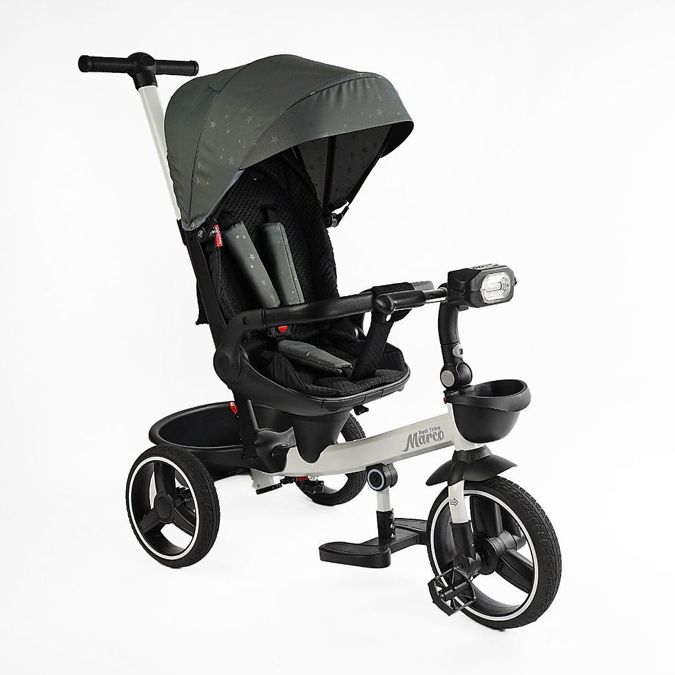 Прев'ю: Best Trike "Marco" 9155