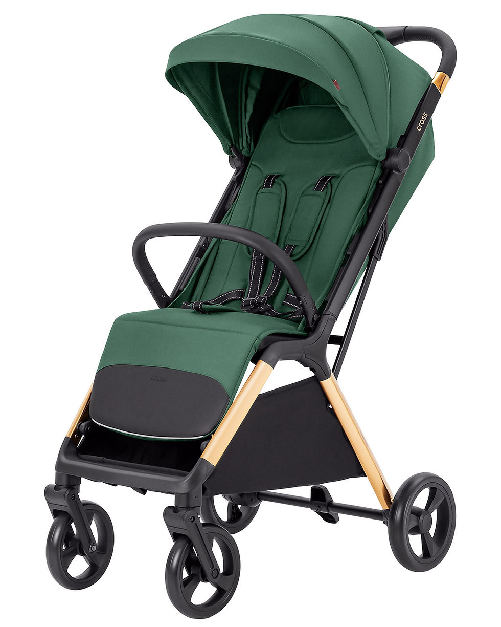 Прев'ю: CARRELLO "Cross"