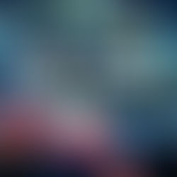 Le CAN AM COMMANDER E le SSV au court circuit. (166)