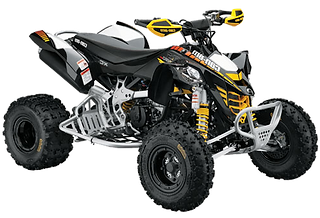 Can am DS 450