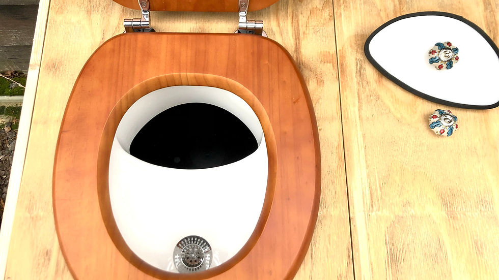 Eye-level view of a rustic composting toilet in a cozy cabin