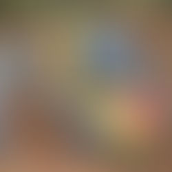 le OUTLANDER 400, le quad qui fit le succès d'une marque (45)