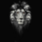 AdobeStock_176574757 - Kopie.jpeg