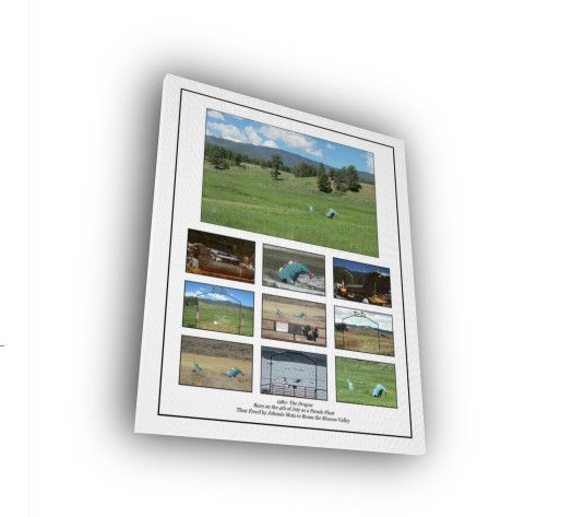 Thumbnail: The Moreno Valley Dragon